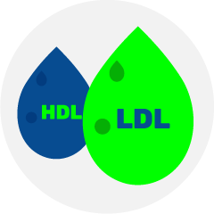 Anti-hyperlipidemic Medicines