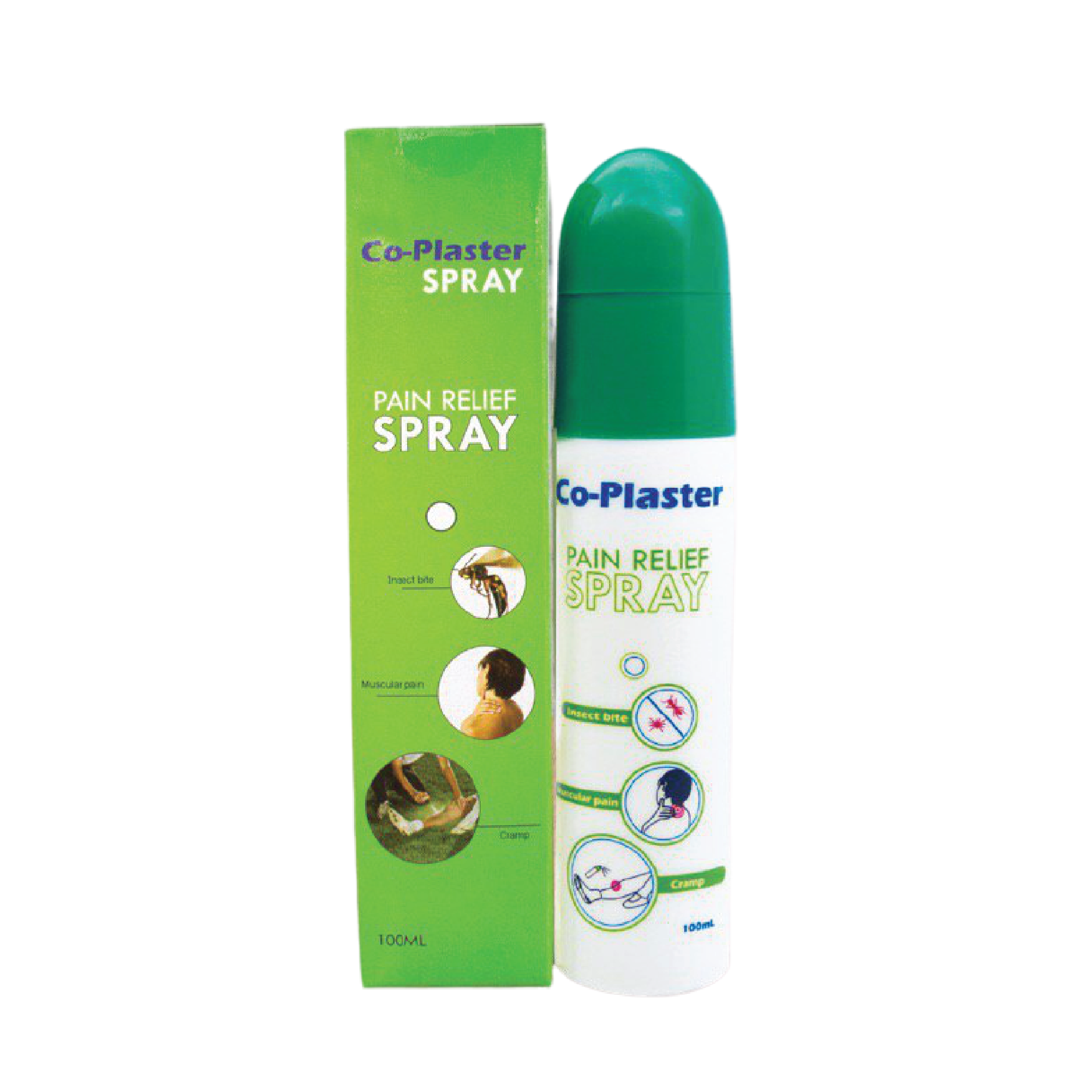 Spray plaster online